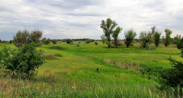 Волгоградская область. Фото Вячеслава Ященко для "Кавказского узла"