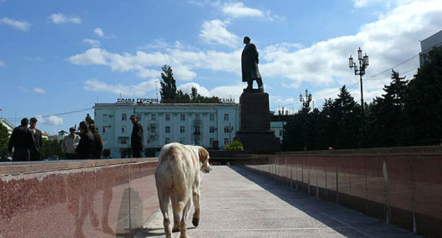 Площадь Ленина, Махачкала. Фото Ахмеднаби Ахмеднабиева для "Кавказского узла"
