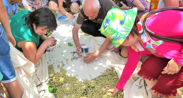 На территории монастыря Амарас в Мартунинского района Нагорного Карабаха впервые прошел фестиваль тутовой ягоды (шелковицы). 27 июня 2015 г. Фото Алвард Григорян для "Кавказского узла"