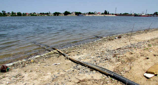 Берег реки Кизань. Астраханская область, июль 2015 г. Фото Вячеслава Ященко для "Кавказского узла"