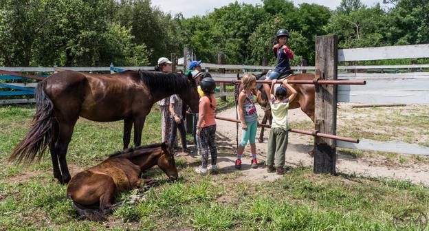 В Детском центре верховой езды. Фото: Фото Лоран Флиши