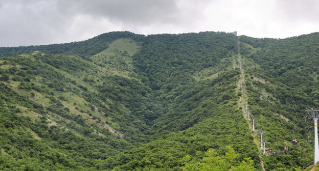 Горы возле Геленджика. Фото: Alexxx Malev https://ru.wikipedia.org