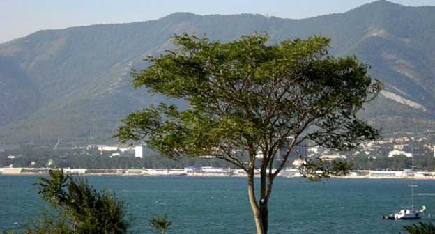 Геленджик. Фото: Alexander Baranov https://ru.wikipedia.org/