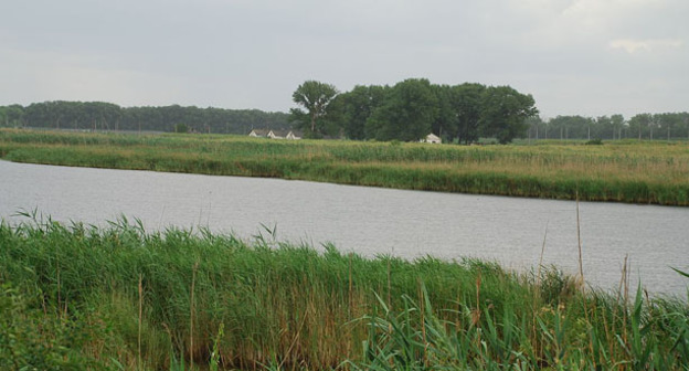 Река Сосыка. Краснодарский край. Фото: Гайдук https://ru.wikipedia.org