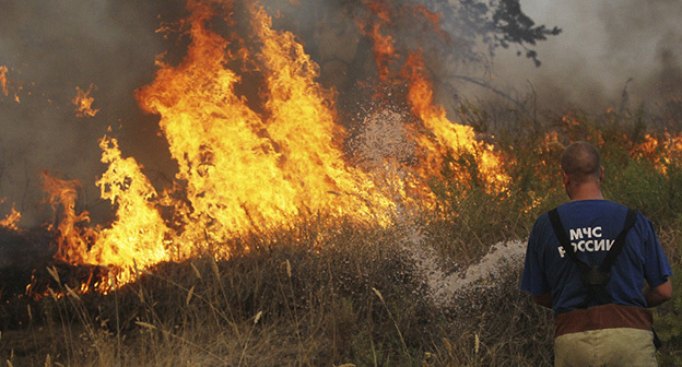 Тушение водой из пожарного рукава. Фото: Alexey Kudenko / CC-BY-SA 3.0, https://ru.wikipedia.org/wiki/Лесной_пожар#/media/File:RIAN_archive_733844_Forest_fires_ravaging_near_Novovoronezh_Nuclear_Power_Plant.jpg