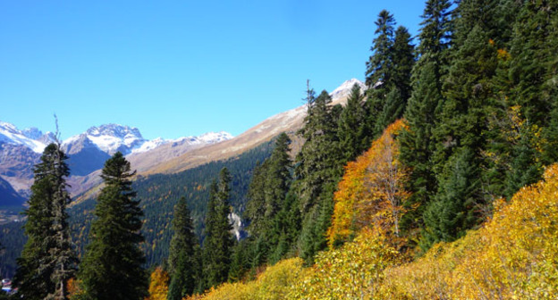 Тебердинский заповедник Карачаево-Черкесии. Фото http://teberda.org.ru/