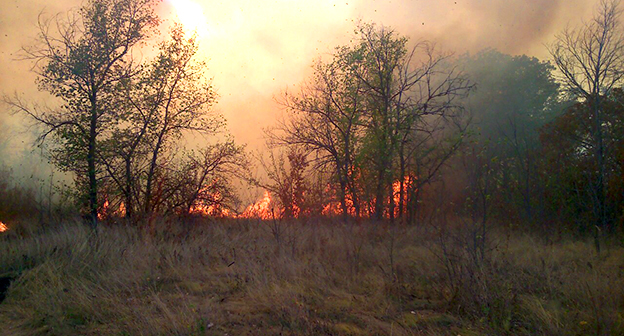 Лесной пожар в Серафимовическом районе Волгоградской области, 03.10.2015. Фото:  http://34.mchs.gov.ru/operationalpage/operational/item/3132058/