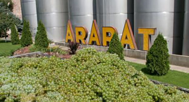 Виноград на территории Араратского винного комбината. http://golosarmenii.am/article/32257/ekz-nachal-zakup-vinograda#