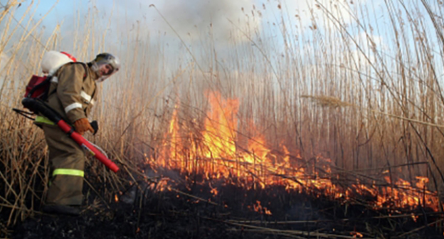 Тушение лесного пожара. Фото: http://34.mchs.gov.ru/pressroom/news/item/3130489/