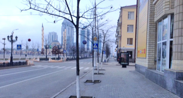 Грозный. Ноябрь 2015 г. Фото Магомеда Магомедова для "Кавказского узла"