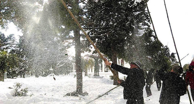 Жители Батуми на Батумском бульваре. Фото: мэрия Батуми, http://sputnik-georgia.ru/society/20160117/229815805.html