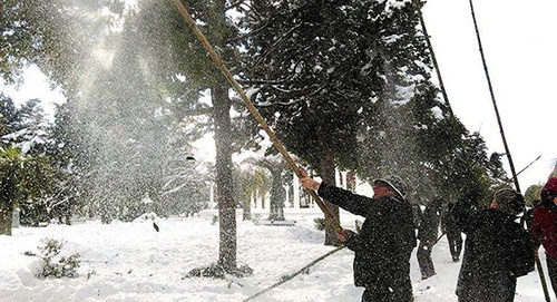Жители Батуми на Батумском бульваре. Фото: мэрия Батуми, http://sputnik-georgia.ru/society/20160117/229815805.html