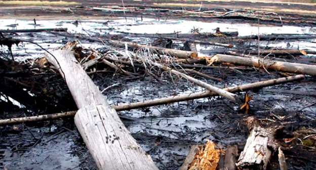 Разлив нефти. Кадр из видео пользователя GreenpeaceRussia https://www.youtube.com/watch?v=8VrXhniwLJ8