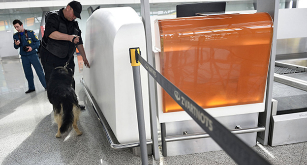 Поиск взрывного устройства на территории международного аэропорта «Звартноц». Фото: © Sputnik/ Asatur Yesayants, http://www.sputnikarmenia.ru/armenia/20160324/2579168.html