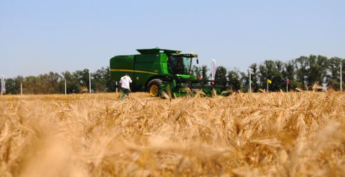 Сельскохозяйственные работы. Фото: Михаил Ступин / Югополис Сельскохозяйственные работы. Фото: Михаил Ступин / Югополис