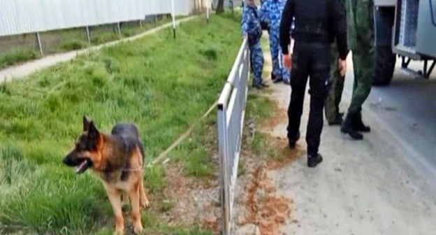 Сотрудники оперативной группы работают на месте нападения на ОВД Новоселицкого района. 11 апреля 2016 г. Фото http://nac.gov.ru/