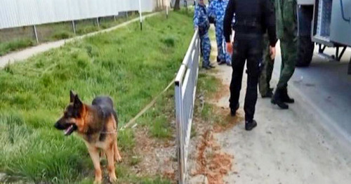 Сотрудники оперативной группы работают на месте нападения на ОВД Новоселицкого района. 11 апреля 2016 г. Фото http://nac.gov.ru/