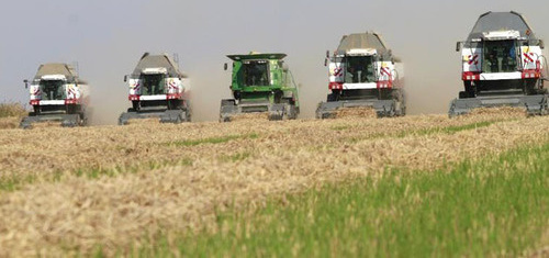 Земля сельхозназначения. Фото: Геннадий Аносов / Югополис