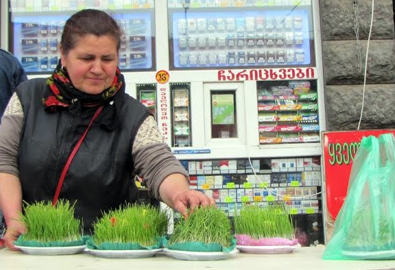 Продавщица джеджили - блюдец с проросшей пшеницей для пасхальных яиц. Тбилиси, 30 апреля 2016 года. Фото Беслана Кмузова для "Кавказского узла". Продавщица джеджили - блюдец с проросшей пшеницей для пасхальных яиц. Тбилиси, 30 апреля 2016 года. Фото Беслана Кмузова для "Кавказского узла".