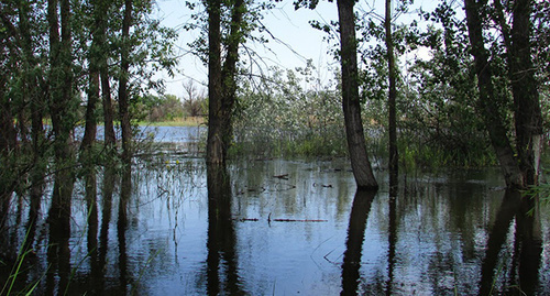 Весенний разлив в Волго-Ахтудинской пойме в окрестностях хутора Клетский Среднеахтубинского района Волгоградской области​. Фото Вячеслава Ященко для "Кавказского узла"