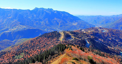 Сочинский заказник. Фото: SKas https://ru.wikipedia.org/