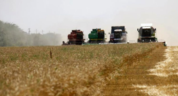 Уборка урожая. Фото: Иван Журавлев / Югополис