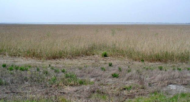 Шапсугское водохранилище. Фото: User "_Vladius_" in Panoramio https://ru.wikipedia.org