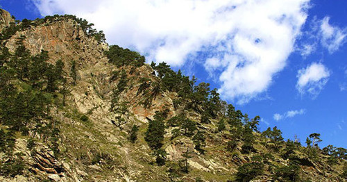 Северная Осетия. Фото Сони Рагозиной для "Кавказского узла"