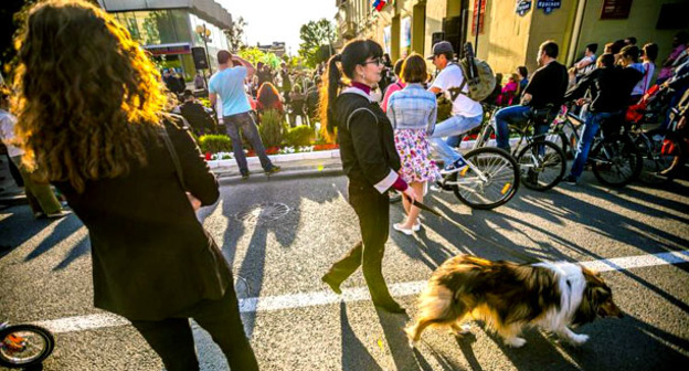 Женщина с собакой на улицах Краснодара. Фото: Денис Яковлев / Югополис