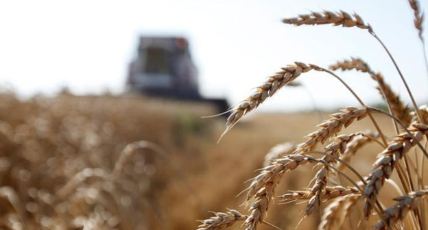 Уборка урожая зерна. Фото http://grozny.tv/news.php?id=12284