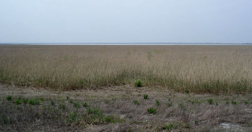 Краснодарское (Шапсугское) водохранилище у посёлка Дружный. Фото: User "_Vladius_" in Panoramio https://ru.wikipedia.org