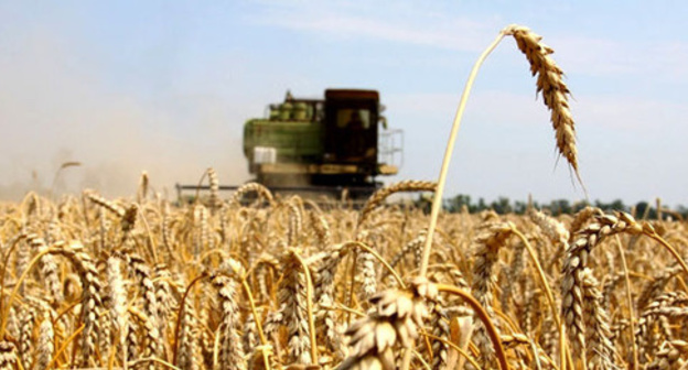 Уборка зерна. Фото: "ФедералПресс" http://fedpress.ru/