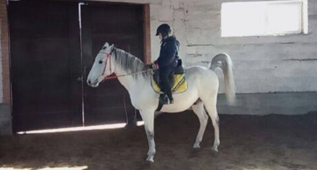 Первый урок верховой езды для школьников Карабулака на базе конно-спортивной школы «Дикая Дивизия». 25 ноября 2016 года. Фото: https://www.facebook.com/ingtourizm 