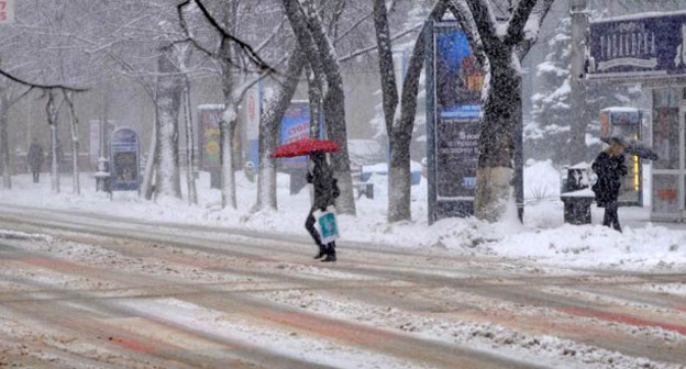 Снегопад. Фото: Михаил Ступин / Югополис