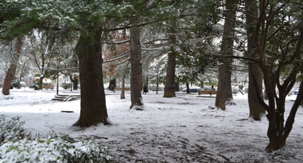 Снег в Сочи. Фото Светланы Кравченко для "Кавказского узла"