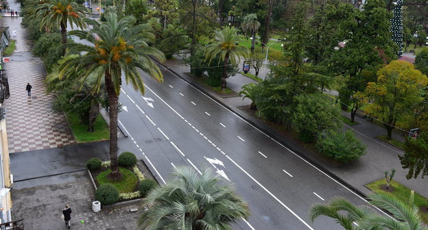 Вид на центральный парк Сухума. Фото © Sputnik. Томас Тхайцу
http://sputnik-abkhazia.ru/Abkhazia/20170125/1020292197/pridnestrove-ratificirovalo-dogovor-s-abxaziej-o-bezvizovom-rezhime.html