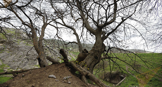 Гадрут, Нагорный Карабах. Фото © Sputnik/ Asatur Yesayants
https://ru.armeniasputnik.am/karabah/20170125/6185274/babayan-pust-aliev-poselit-v-chodjuk-marjanly-svoego-syna.html
