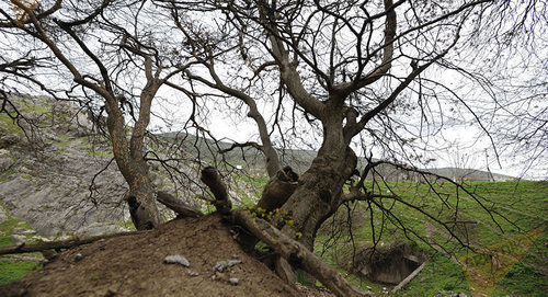 Гадрут, Нагорный Карабах. Фото © Sputnik/ Asatur Yesayants
https://ru.armeniasputnik.am/karabah/20170125/6185274/babayan-pust-aliev-poselit-v-chodjuk-marjanly-svoego-syna.html
