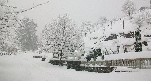 Снегопад в Аджарии. Фото © FB / администрация Хелвачаури
 https://sputnik-georgia.ru/incidents/20170202/234732703/Sneg-razrushil-dom-v-Adzharii-odin-chelovek-pogib.html