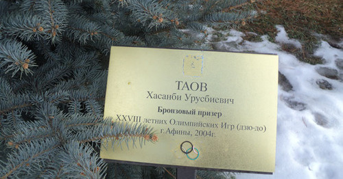 Поврежденная именная табличка на Олимпийской аллее в Нальчике. 6 февраля 2017 г. Фото Людмилы Маратовой для "Кавказского узла"