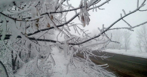 Дорога в Лорийской области. Армения. Фото Армине Мартиросян для "Кавказского узла"