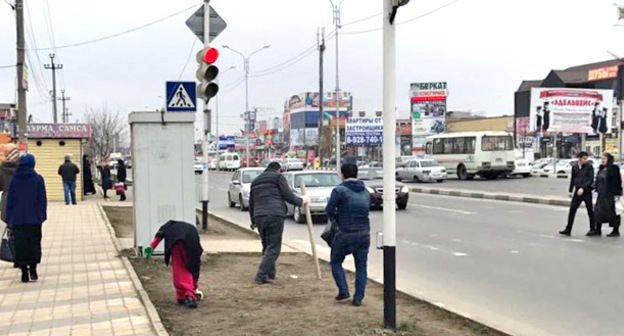 Субботник в Грозном. 13 марта 2017 г. Фото: Ибрагим Темирханов/ИА "Грозный-информ"