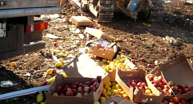 Уничтожение изъятой партии яблок. Фото https://golos-kubani.ru/