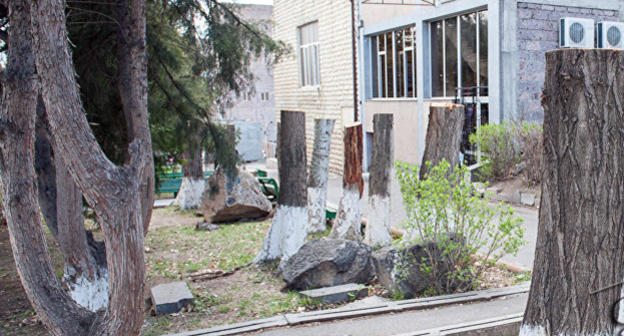 Вырубка деревьев в Давдашене. Фото © Sputnik/ Asatur Yesayants
https://ru.armeniasputnik.am/incidents/20170410/6973194/policiya-zaderzhala-vandala-vyrubivshego-v-erevane-derevya.html