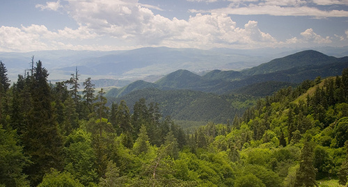 Боржоми-Харагаульский национальный парк. Фото Polscience https://ru.wikipedia.org Боржоми-Харагаульский национальный парк. Фото Polscience https://ru.wikipedia.org