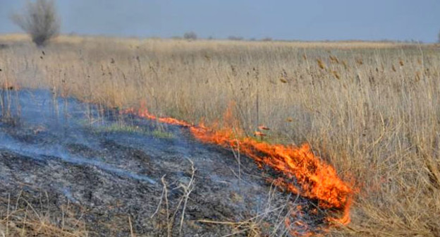 Ландшафтный пожар. Фото http://astravolga.ru