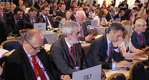 Пленарная сессия парламентской ассамблеи НАТО в Грузии. Фото Инны  Кукуджановой для "Кавказского узла"