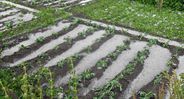 Град в Армении. Фото galatv
https://ru.armeniasputnik.am/incidents/20160711/4282255.html
