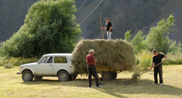 Сенокос в Грузии. Фото © Sputnik/
https://sputnik-georgia.ru/georgia/20120412/214910582.html