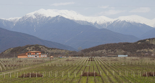 Кахетия. Фото © Sputnik/ Александр Имедашвили
 https://sputnik-georgia.ru/politics/20170608/236254103/Inostrancy-ne-smogut-pokupat-selhoz-zemli-v-Gruzii.html